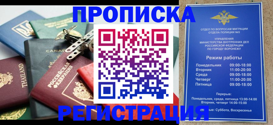 форма 3 в Шахунье